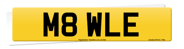 Registration number M8 WLE